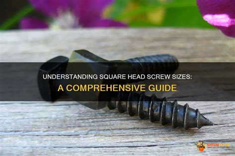 square head screws|A Comprehensive Guide To Screws With A Square Head For .